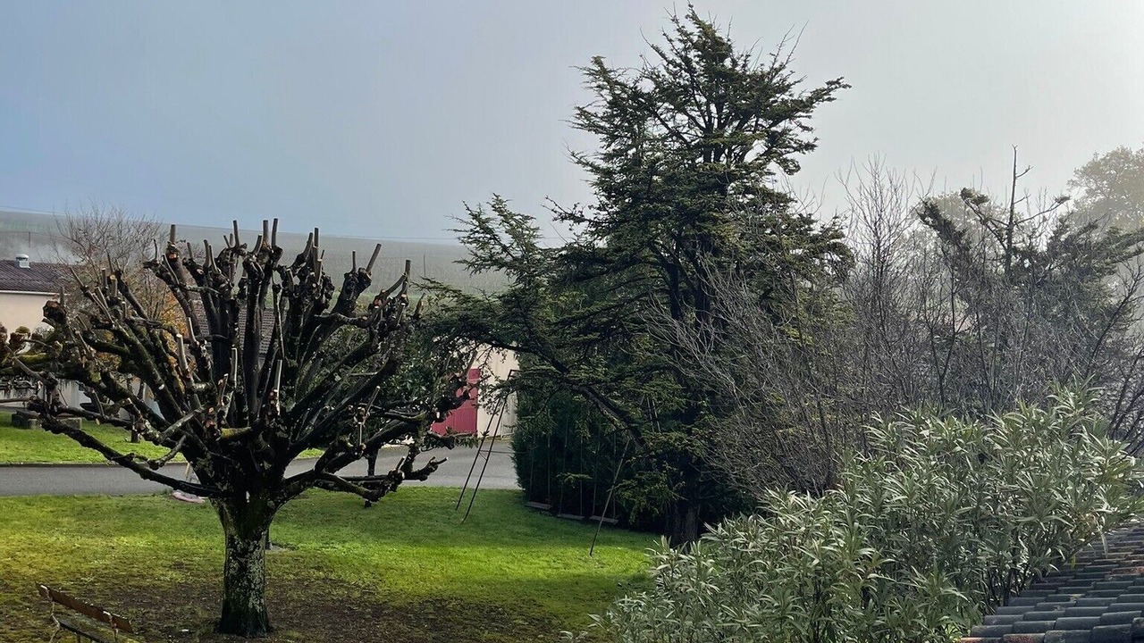 Photo of Outdoor in Verrieres