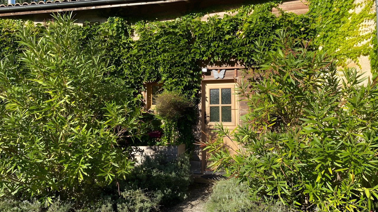 Photo of Outdoor in Civrac-de-Blaye