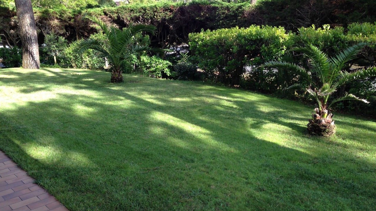 Photo of Outdoor in Cap-Ferret