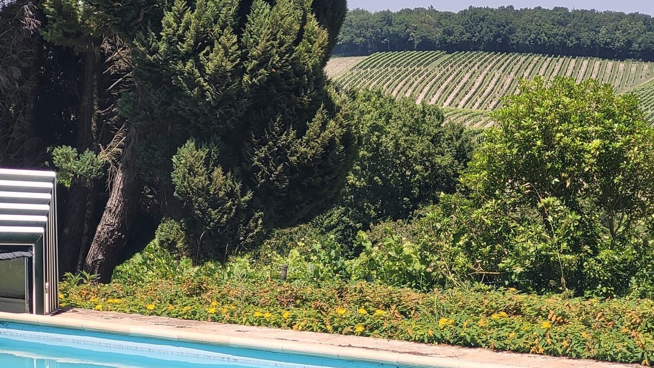 Photo of Outdoor in Bellevigne