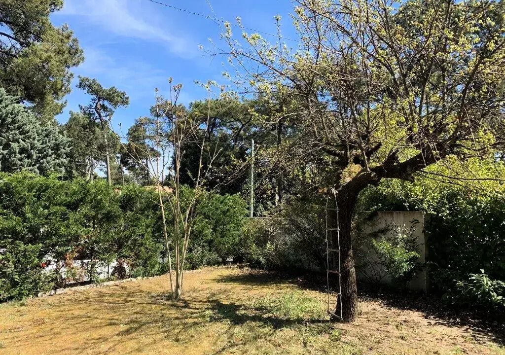Photo of Outdoor in Saint-Georges-de-Didonne