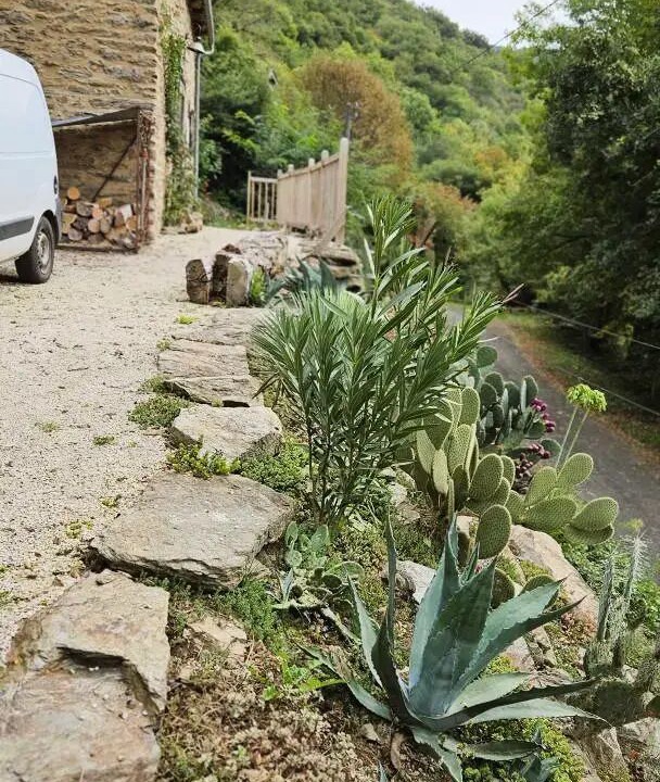 Photo of Outdoor in Argentat