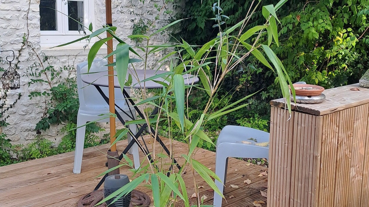 Photo of Patio Balcony in Cherac
