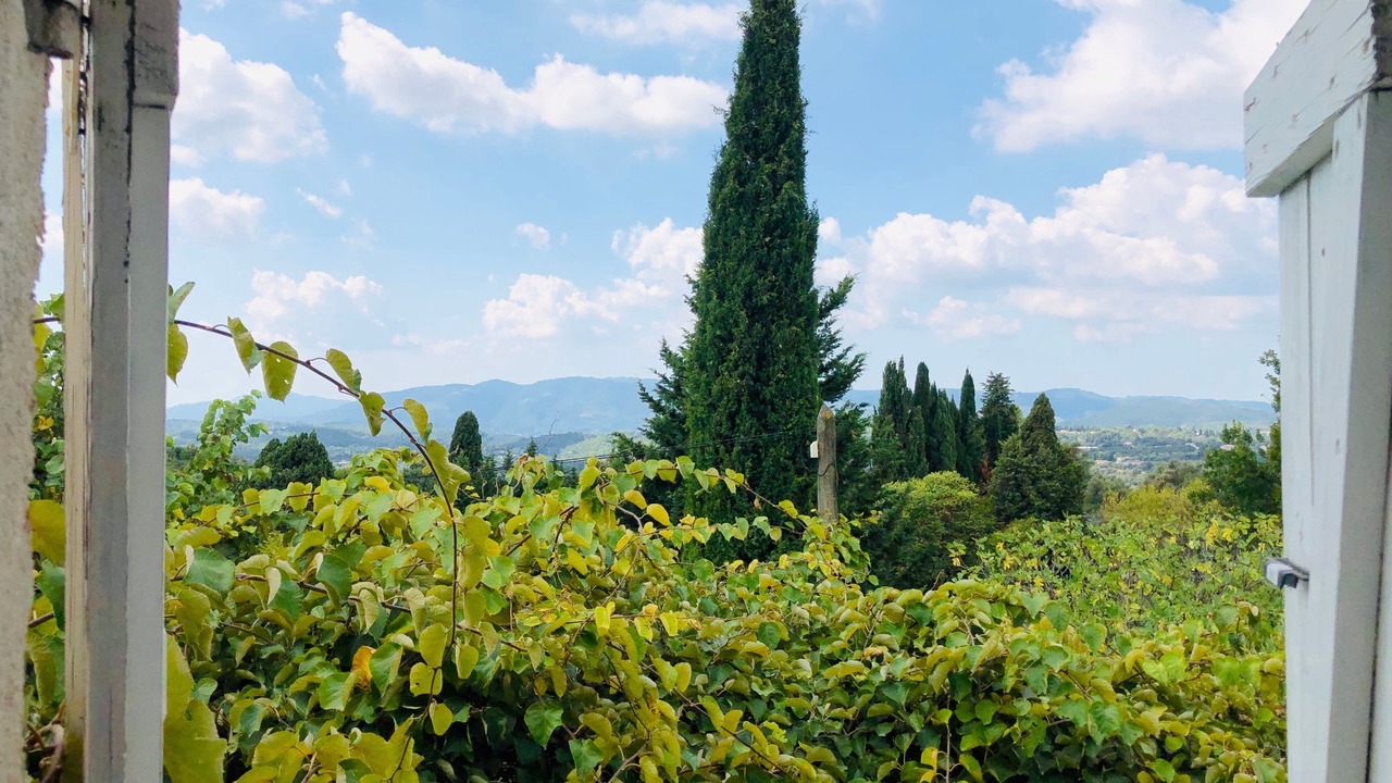 Photo of Outdoor in Le Plan-de-Grasse