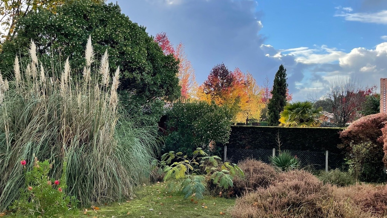 Photo of Outdoor in Saint-Julien-en-Born