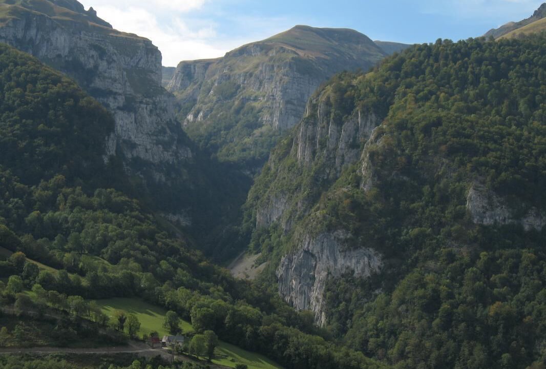 Photo of Others in Menditte