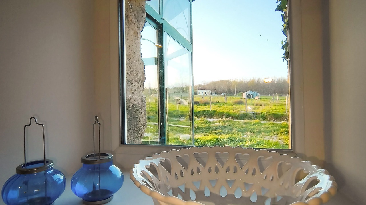Photo of Others in Montpeyroux