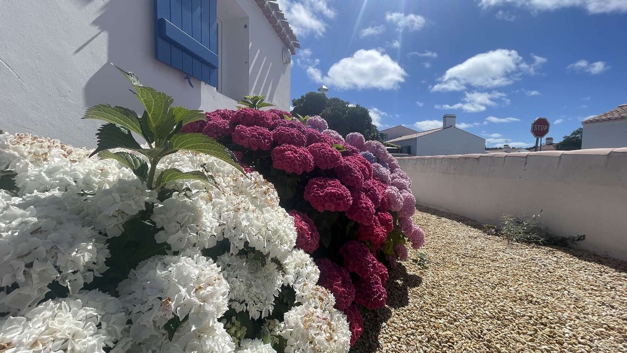 Photo of Outdoor in L'Epine