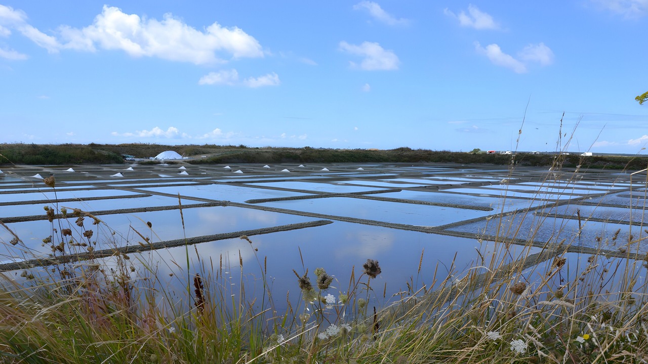Photo of Others in Guerande