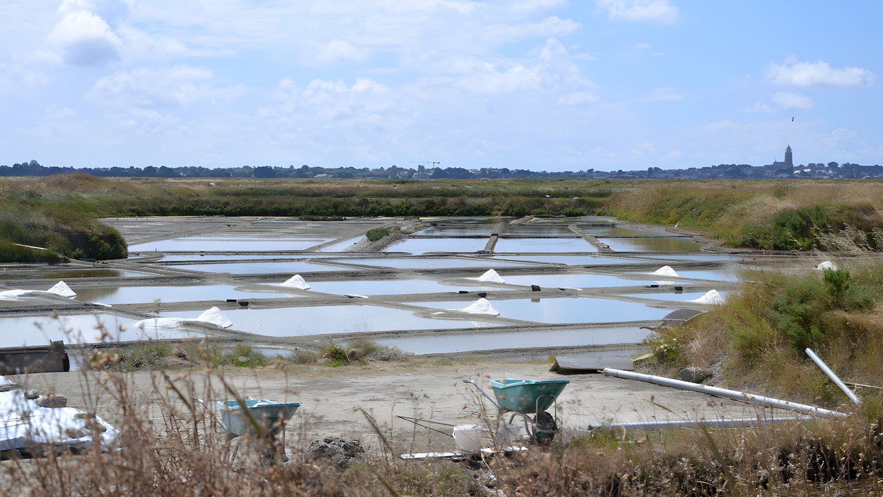 Photo of Others in Guerande