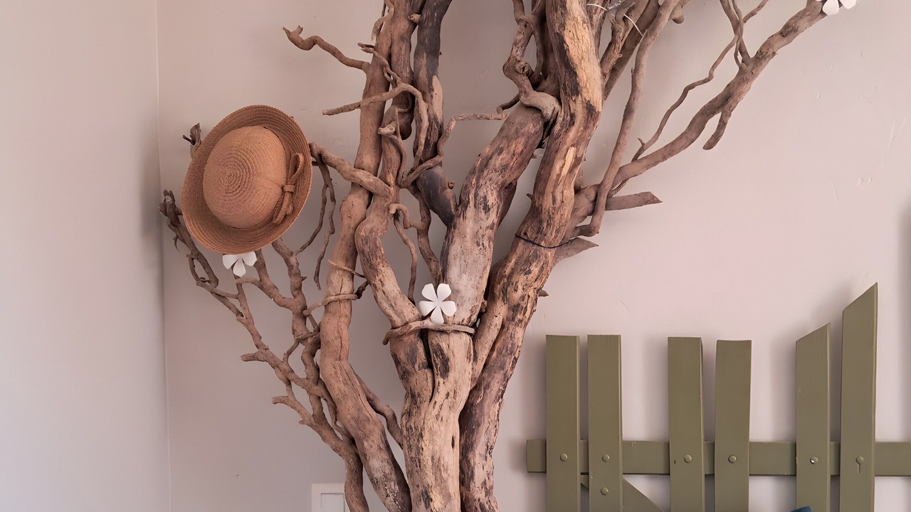 Photo of Bedroom in Folles
