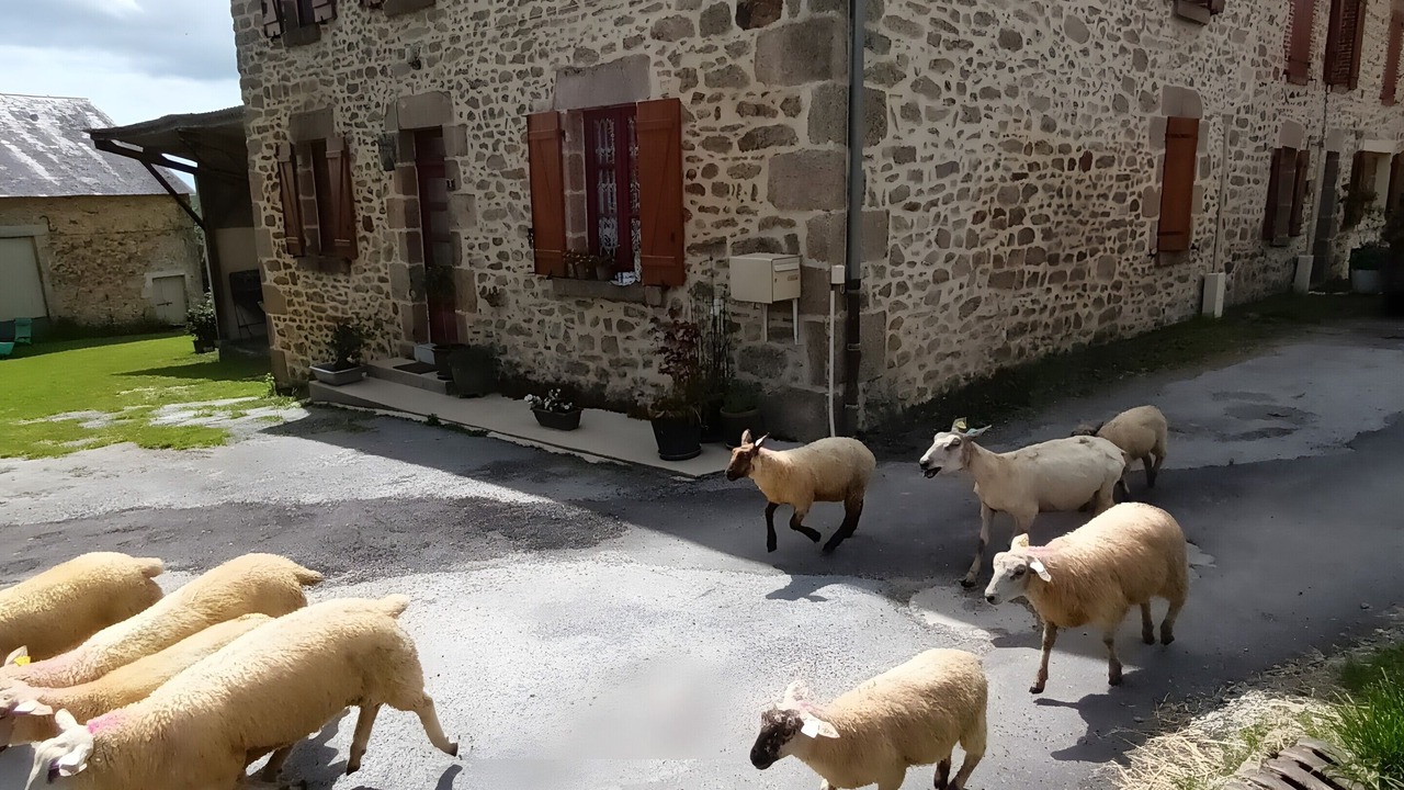 Photo of Outdoor in Folles