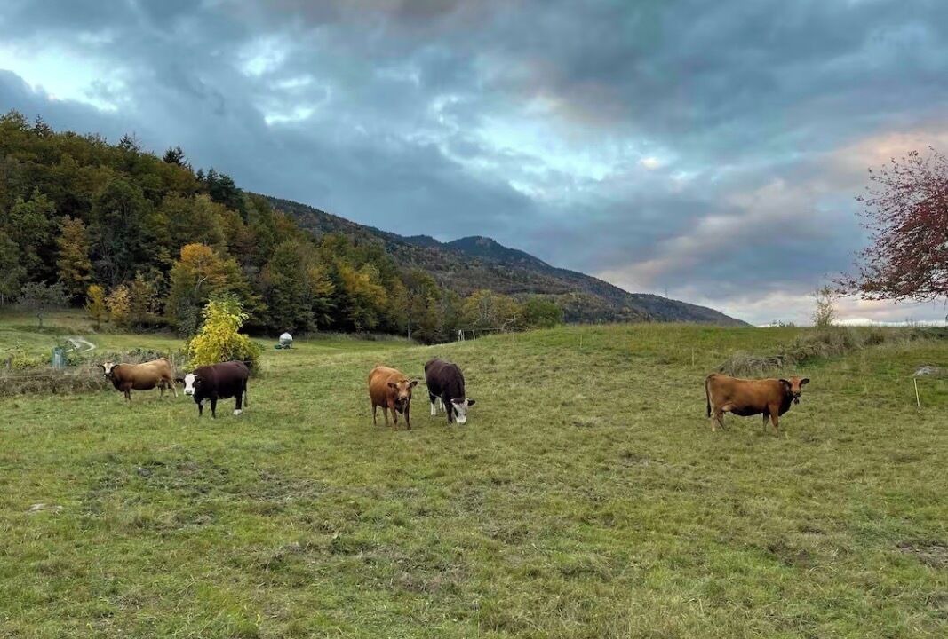 Photo of Others in Saint-Paul-sur-Isere