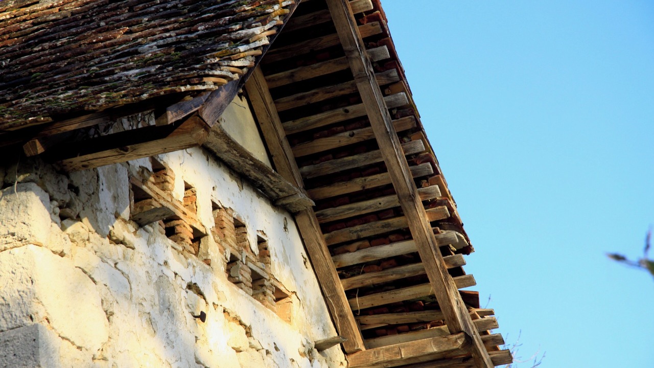 Photo of Outdoor in Plaisance