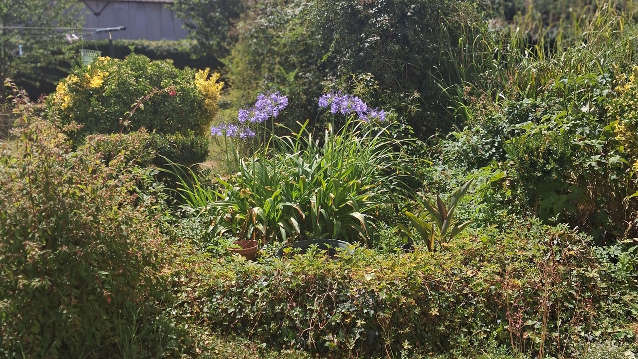 Photo of Outdoor in Eysus