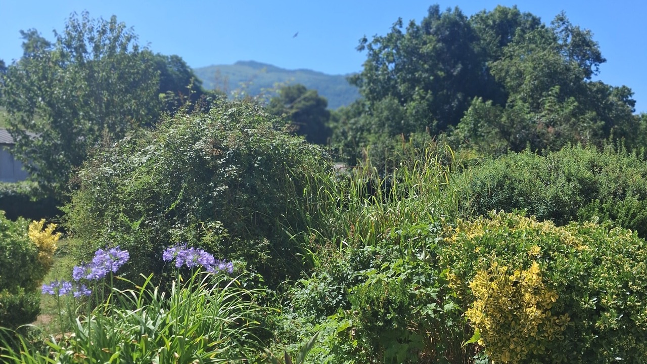 Photo of Outdoor in Eysus