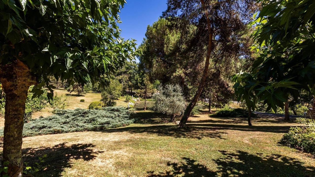 Photo of Outdoor in Lamothe-Montravel