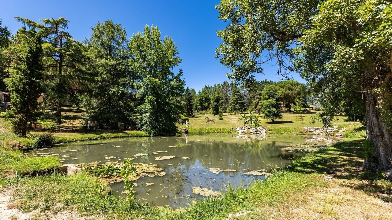 Photo of Others in Lamothe-Montravel