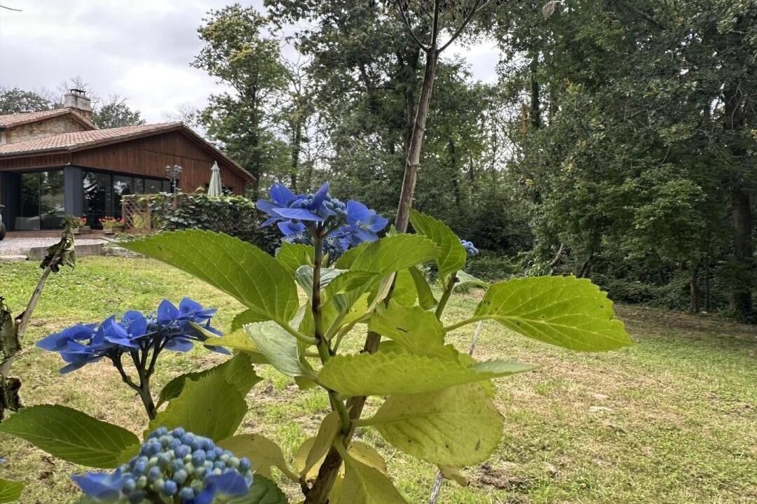 Photo of Outdoor in Bahus-Soubiran