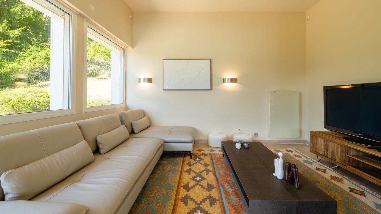 Photo of Livingroom in Sevrier