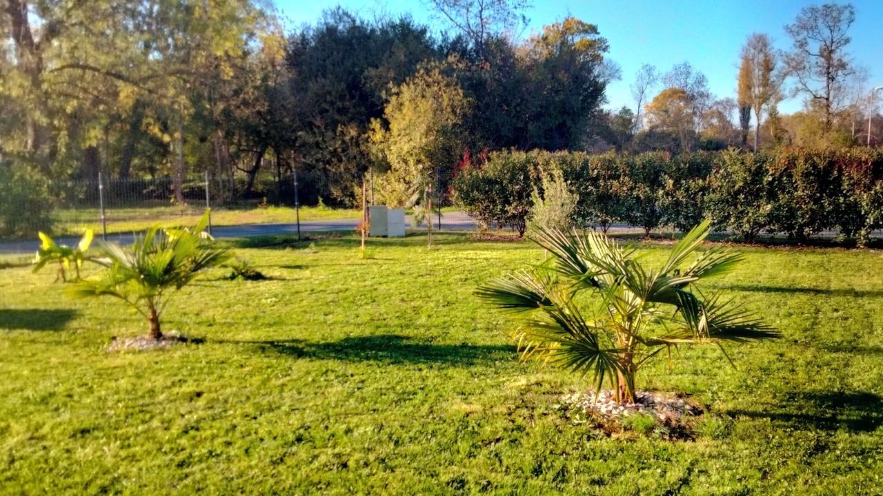 Photo of Outdoor in Saint-Germain-de-Lusignan