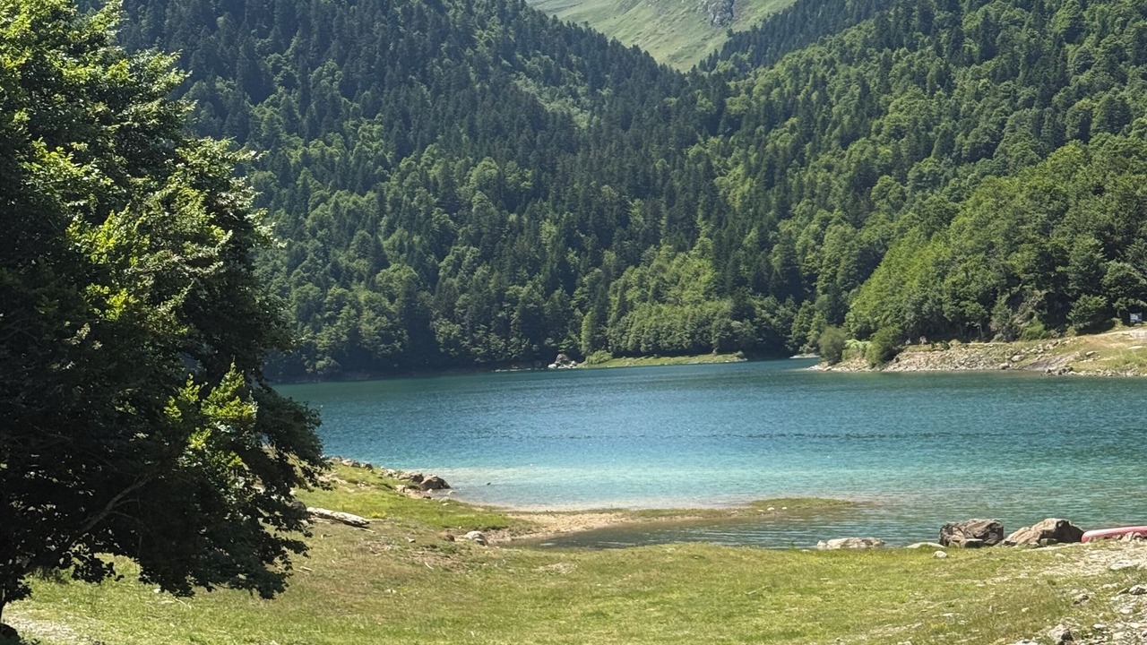 Photo of Others in Gere-Belesten