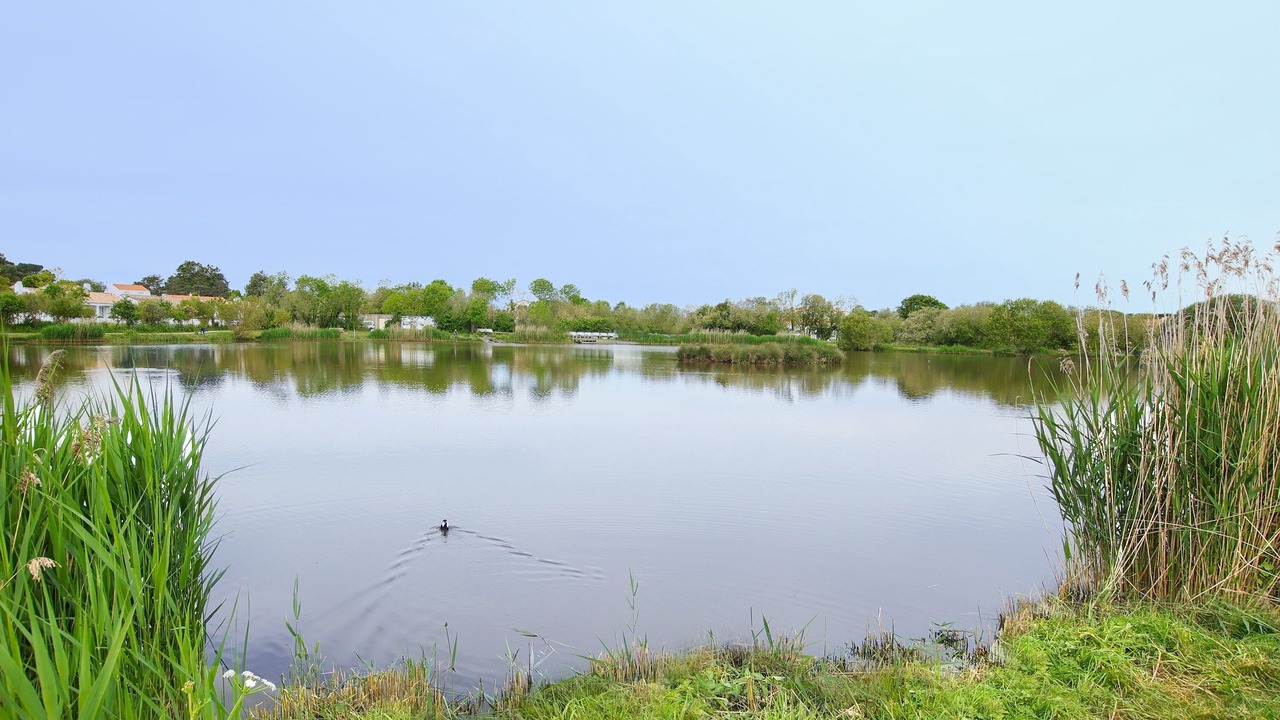Photo of Others in Bretignolles-sur-Mer