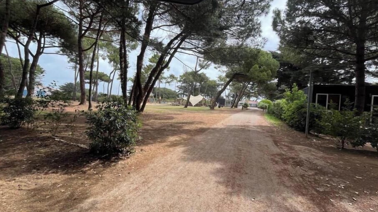Photo of Others in Rivedoux-Plage