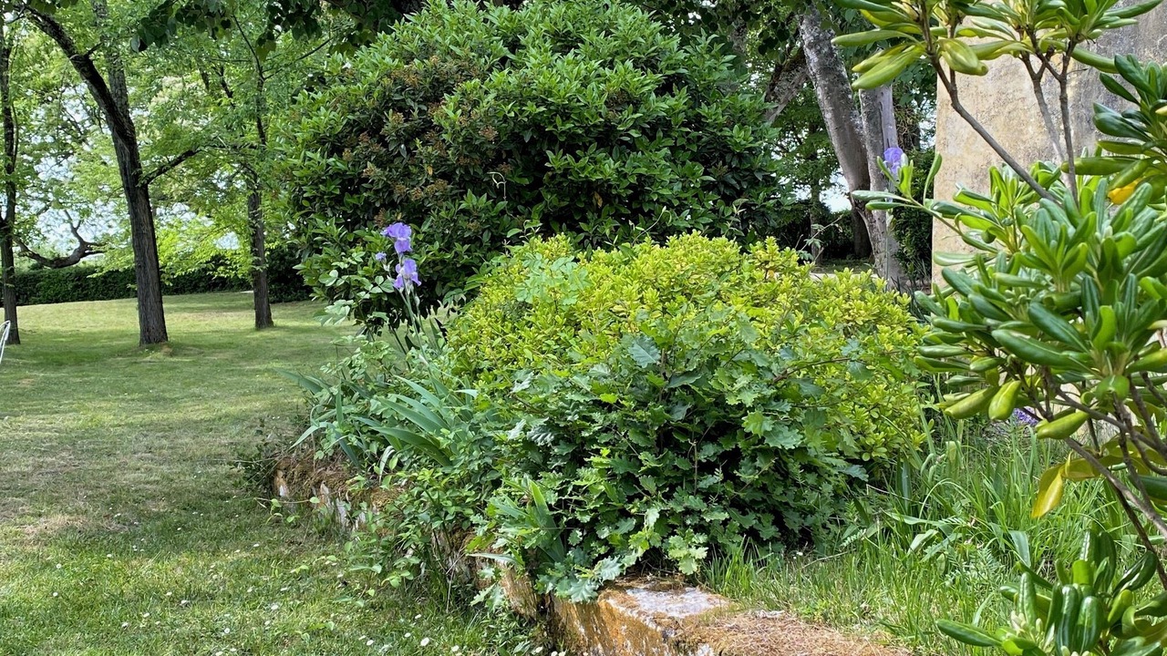 Photo of Outdoor in Camblanes-et-Meynac