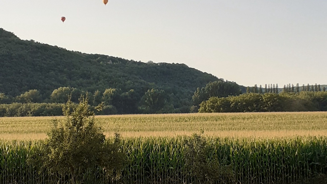 Photo of Others in Saint-Vincent-de-Cosse