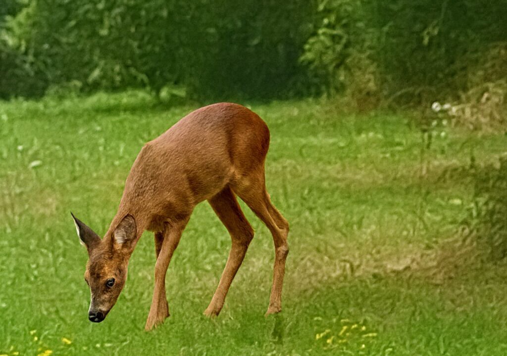 Photo of Others in Saint-Estephe