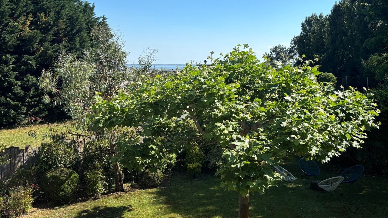 Photo of Outdoor in Lanton