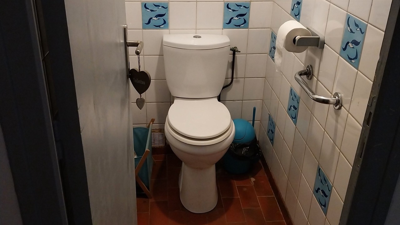 Photo of Bathroom in Geaune