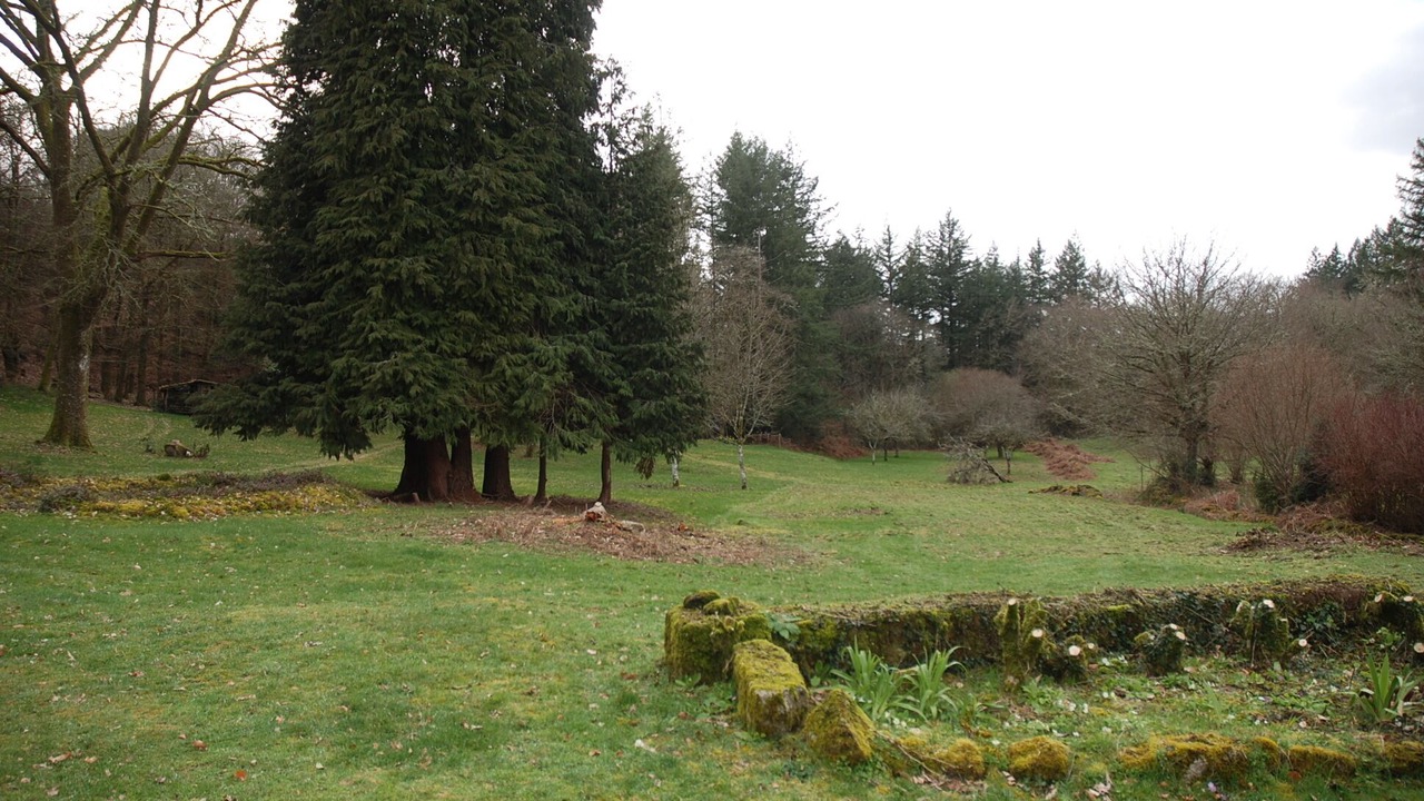 Photo of Others in Compreignac