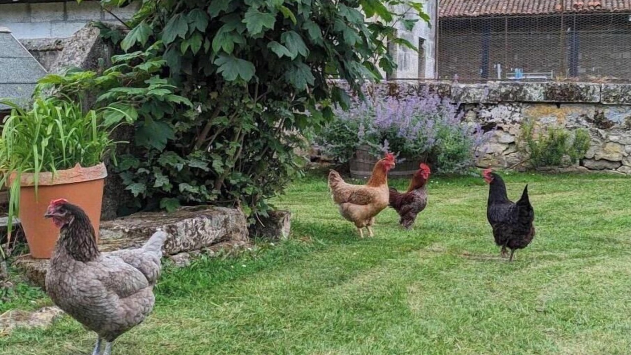 Photo of Outdoor in Chadurie