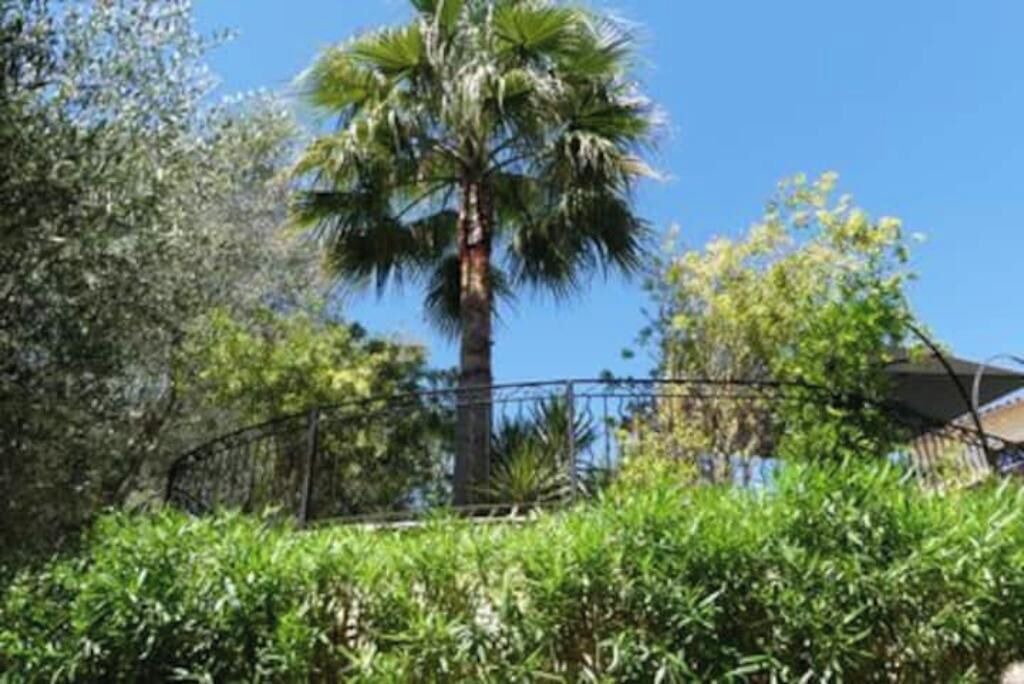 Photo of Outdoor in Valbonne