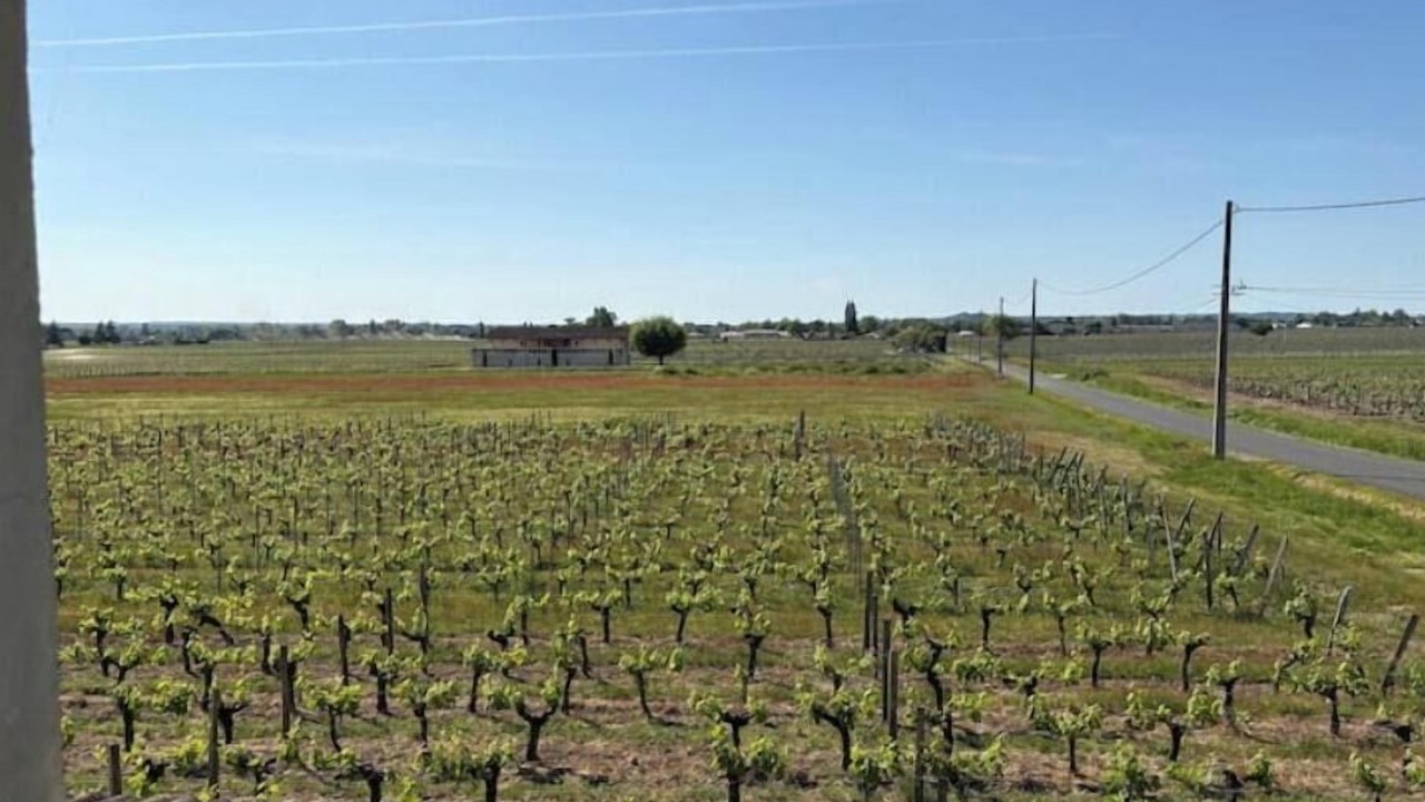 Photo of Others in Saint-Emilion