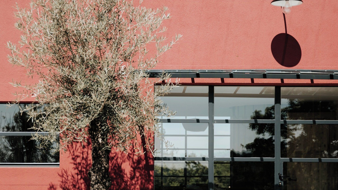 Photo of Outdoor in Bardou
