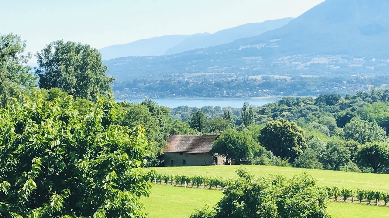 Photo of Others in Le Bourget-du-Lac