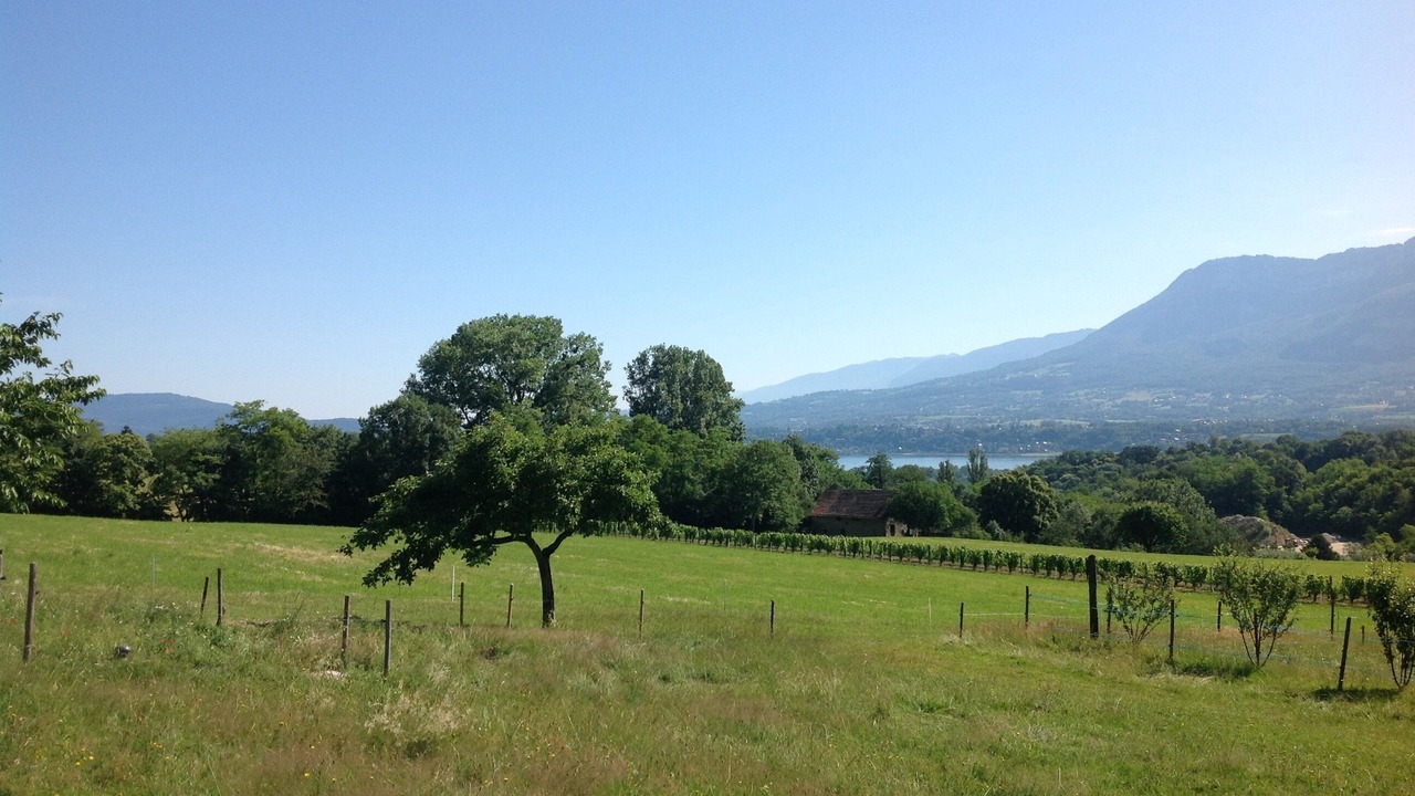 Photo of Others in Le Bourget-du-Lac
