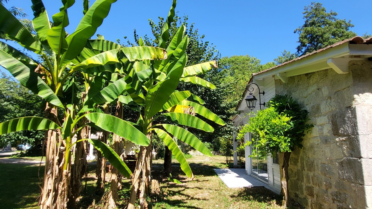 Photo of Outdoor in Madaillan