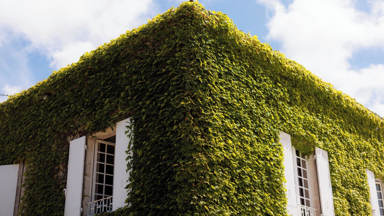 Photo of Outdoor in Mortagne-sur-Gironde