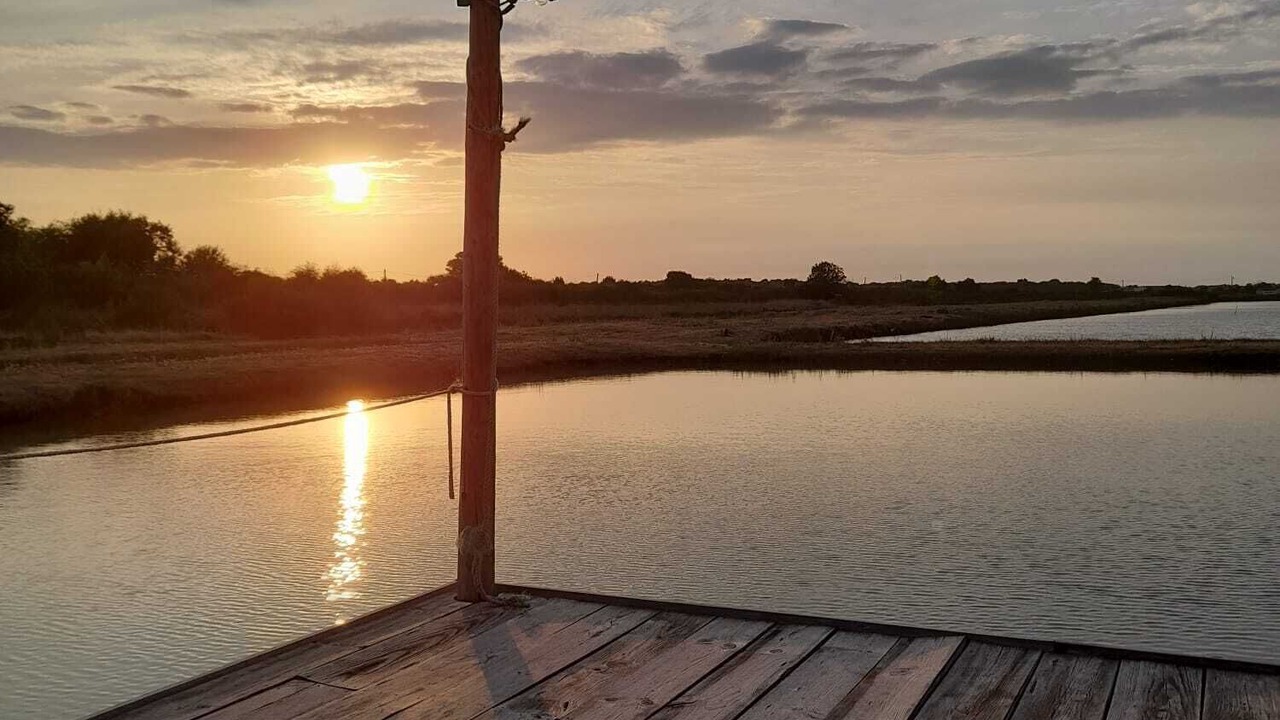 Photo of Others in Mornac-sur-Seudre