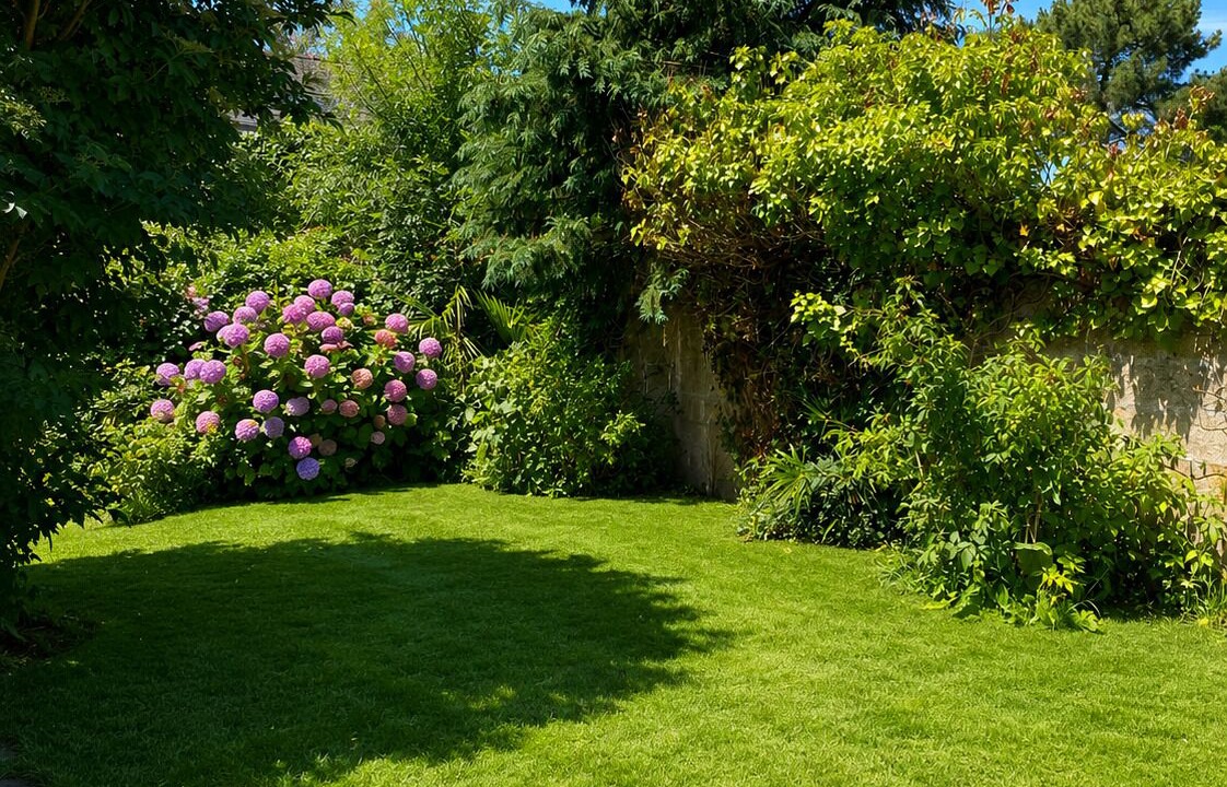 Photo of Outdoor in Saint-Pere-en-Retz