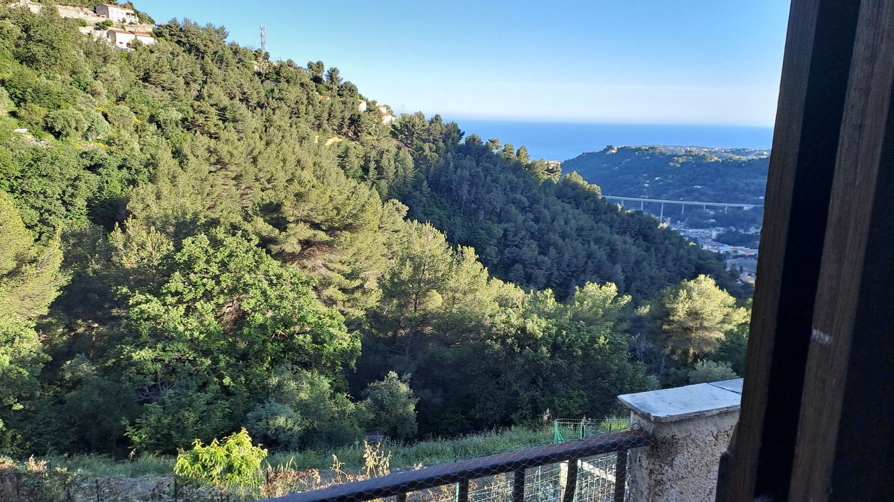 Photo of Others in Castellar
