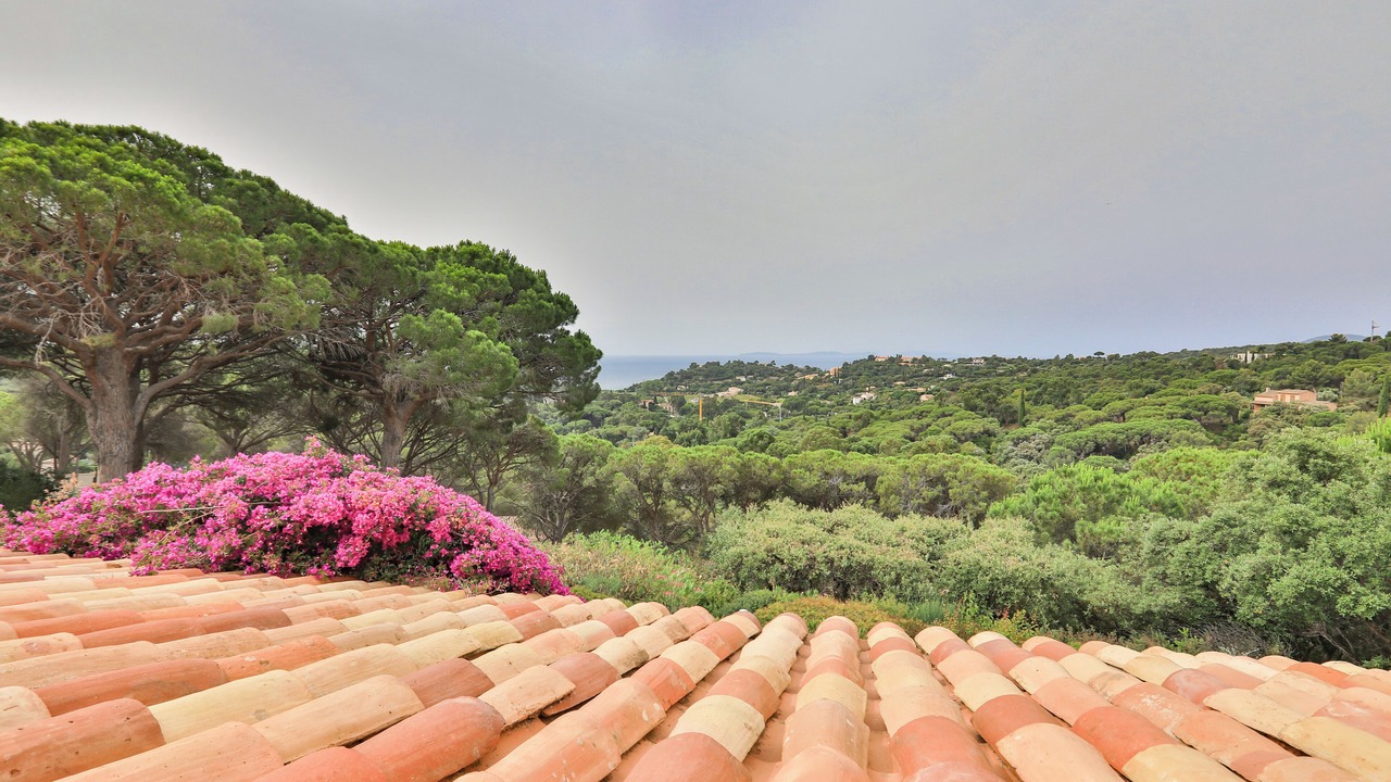 Photo of Outdoor in La Croix-Valmer