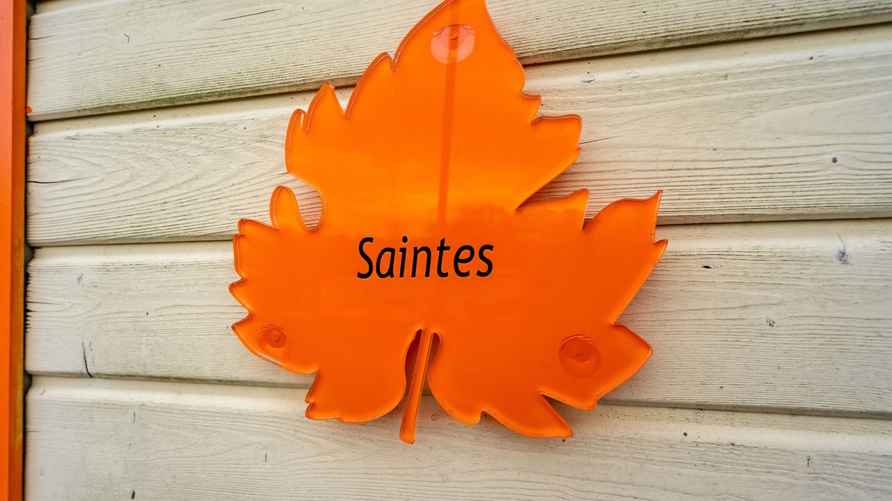 Photo of Others in Saint-Simon-de-Bordes