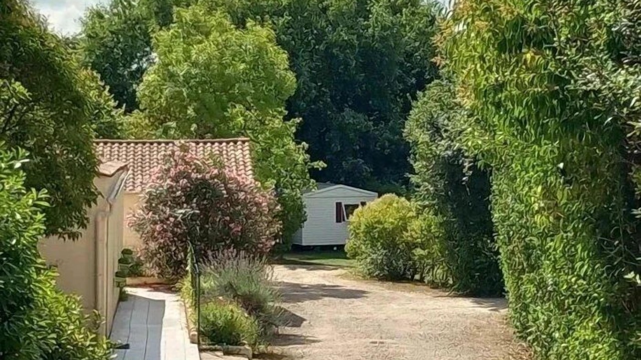 Photo of Outdoor in Commequiers