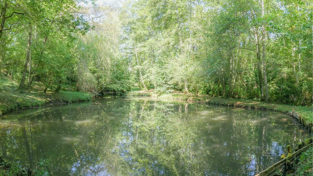 Photo of Outdoor in Saubrigues