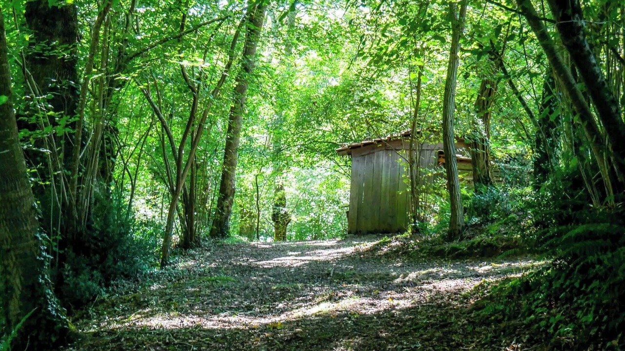 Photo of Outdoor in Saubrigues